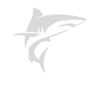 Tembak Ikan Pokemonbet
